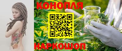 трава Кингисепп