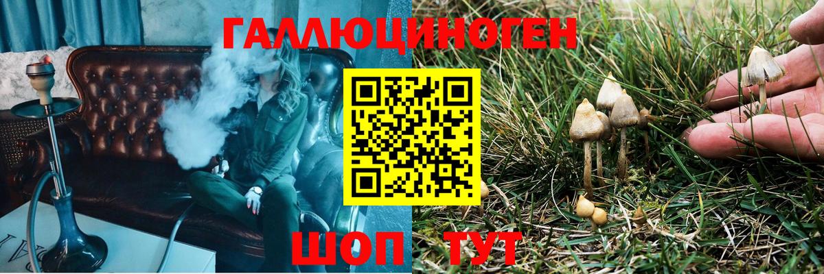 Куйбышев  Галлюциногенные грибы MAGIC MUSHROOMS  Псилоцибиновые грибы ЛСД  Вход с VPN 